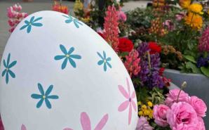 fioreginnnosizukuのblog