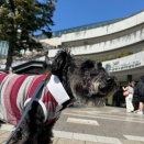 押上から錦糸町方面へお散歩、Wings BurgerでランチしてCream Festのソフトクリームが美味しかった日のこと。