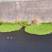 �����������衡���졡�޽�ۡ���֥�󥷥桡�뤴��