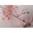 いろんなお話を聞く日