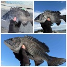 一年に一回の日