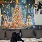 ZIL520と黒猫の日本旅