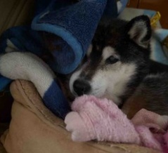 飼育体験ですって！？