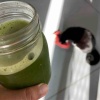 和食な朝ごはん、納豆にオリーブオイル