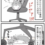 『大好きな椅子の下ではとにかく無防備』の画像