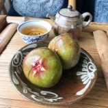 �ؼ�����ۡ���˺Ͽ - 2019ǯ5-8��٤β���