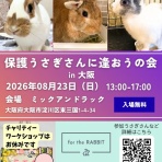 for the RABBIT【保護うさぎの里親探し】
