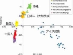 【朗報】DNA調査で日本人は韓国人、中国人と違う事が判明！！！　NHKで放送される！！！
