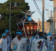 夏が来た♪！