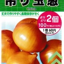 2026年9月　吊り玉葱　２回目