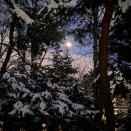 祝月...一年の計