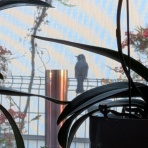 都心から郊外へ１２年目