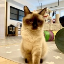 3歳　マンナ　募集中