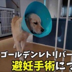 BLITZ WORKS 俺のブログ by ローリー青野