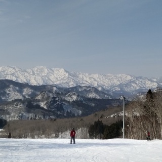 シーバス電脳日誌 ロードバイクでサイクリングも