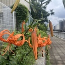 サラダ記念日、虚無の穴