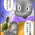 帰宅インコ拒否