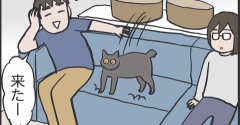 遠慮なく伸びるアヤちゃん