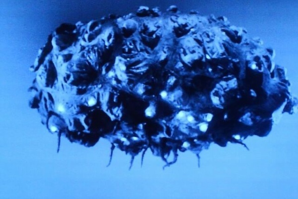 ｈｅｒｏブログ 憧れた風と光の戦士たち 18年11月