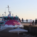 『2026年2月　江の島発ジェット船運航』の画像