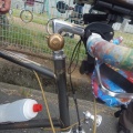 ミニベロ大集団で紫陽花をミニ行きました。