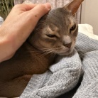 パジャマの上着取られちゃった(*´ω`*)