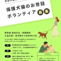 犬猫のお世話ボランティアを募集しています