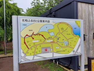 「北柏ふるさと公園」で「じゃぶじゃぶ池」の夜間開放イベント「夜じゃぶ」が7月17日に開催