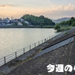 小牧つーしん