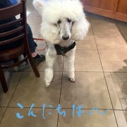 �ӤӤ뤸�����󡡴�ĥ��Ф�����