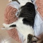 EZ-Japan BLOG since 2017　真・MFC千夜一夜物語