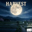 New Release