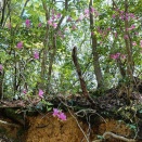 自分でたしかめたくて