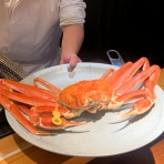 アコードワゴンとCBR400RとNS50Fと