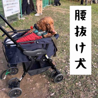 まだまだ修行が足らないな。