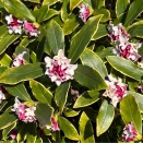 2月11日(水) (^O^)／