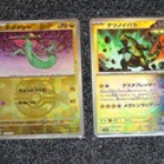 ゆのみの、ポケモンカードを探して！