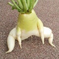 野菜