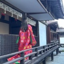 特別編・2025秋東北旅行LIVE⑭－えさし藤原の郷