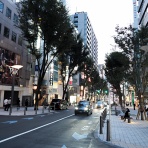 東京坂道さんぽ