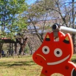 COSTEM BLOG  （コステム ブログ）