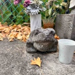 カエル好きの大磯生活