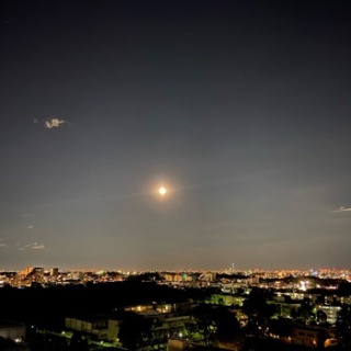 月からやって来たルナくんと兎いっぱい夢いっぱい