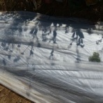 毎日が日曜　晴耕雨読な日々