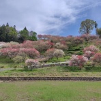 伊那谷農業日記
