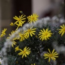 愛のために生きる人の前で