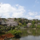 横浜の三渓園と中華街