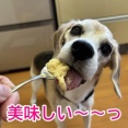 一気に回復に・・と思ったけど
