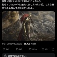【悲報】人気配信者、エルデンリングのマレニア戦で「遺灰」を使用し叩かれる→お気持ち表明ｗｗｗｗ