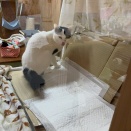 怖すぎる